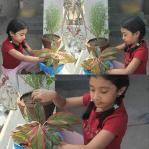 Environment Day 2021 Celebrated by New Horizon Gurukul Students