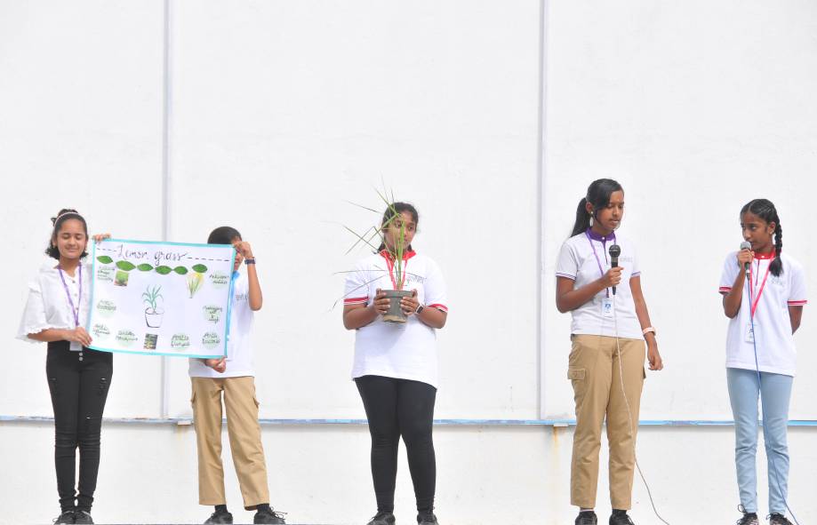 Environment Day Celebration at New Horizon Gurukul
