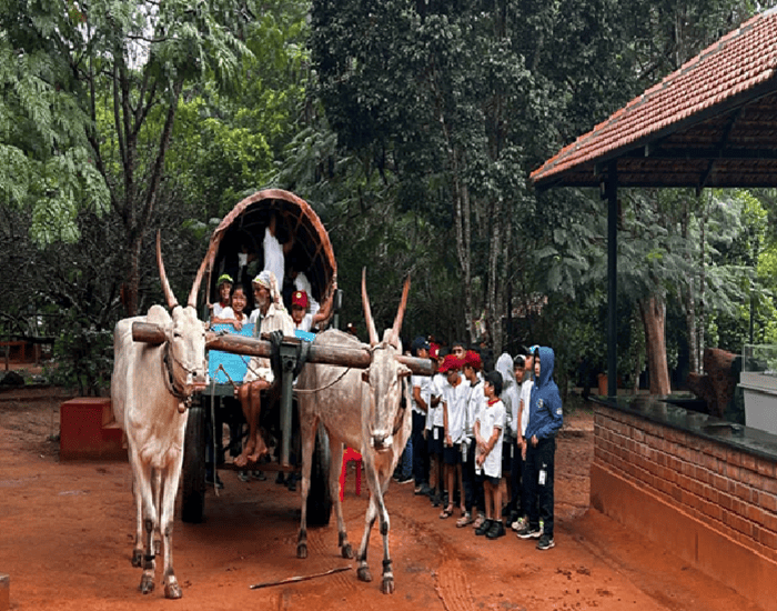 Jain farms 1