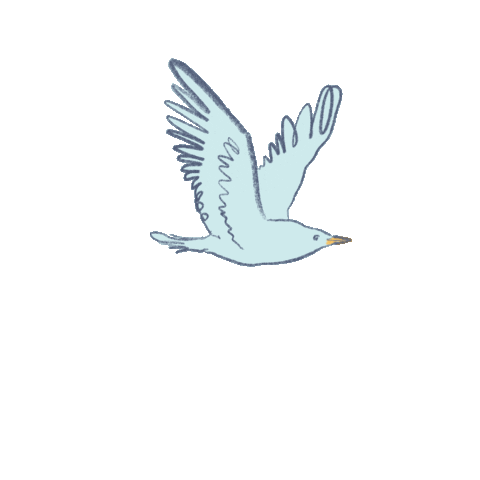 bird1